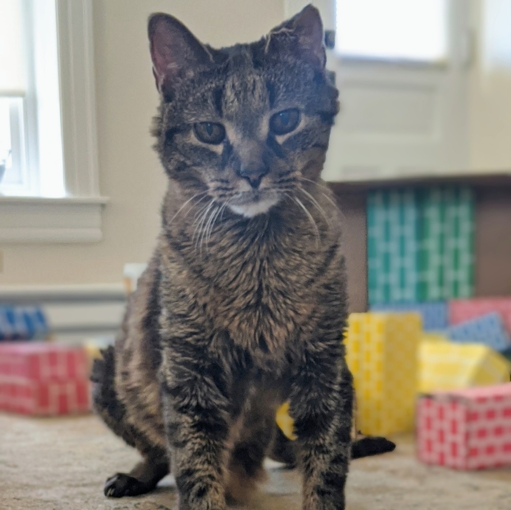Meet your Posher, Meredith